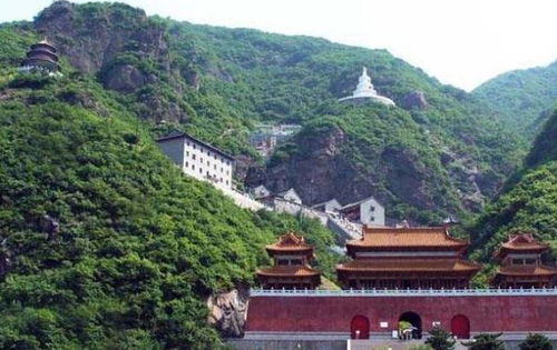 卧佛：睡姿也太舒服了吧！