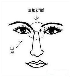 2.3 鼻部形态与事业运势的体现