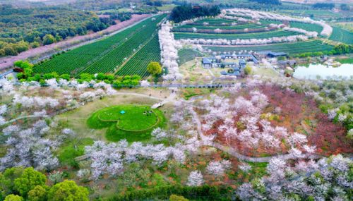 二、花80块看荒地？ 麦城景区的“性价比刺客”套路该停了！！🚨🚨🚨