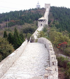 怀化到中山旅游专线：一场充满“惊喜”的冒险