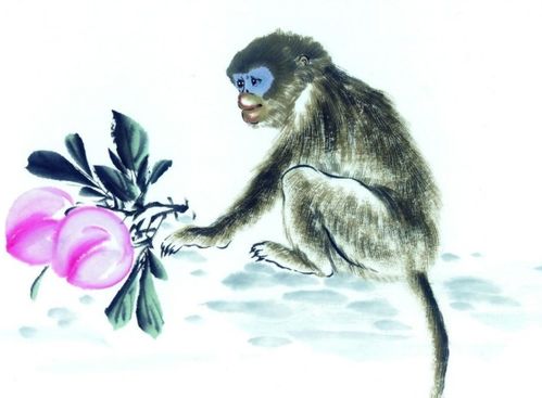 2026年属猴的纳财吉日，是申时还是酉时最旺财？属猴哪一年财运最旺？