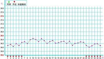 基础体温法：用体温曲线解码排卵密语