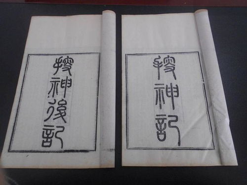 在注生殿求签时，能否帮我解读一下这10注生娘娘灵签的含义呢？