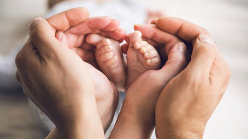 政府干预：鼓励生育？！