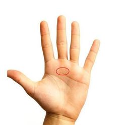 手相看双胞胎能预示生龙凤胎吗？