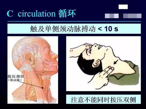 一、 临床表象解析：从单一幻觉到复合症候群