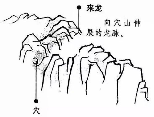 行龙：流动的能量