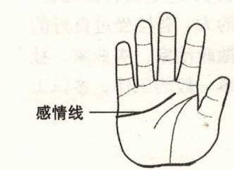 手相中狡猾手纹和律师纹分别位于哪里？