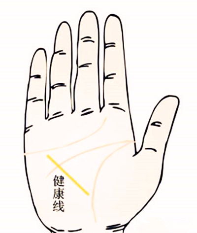 4. 生命线与感情线的交汇：持续闪现的桃花运势