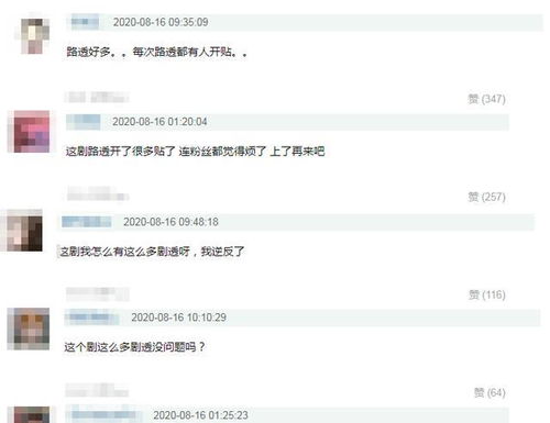 ：关于“超级温柔”网名之学术探讨的必要性与研究范围