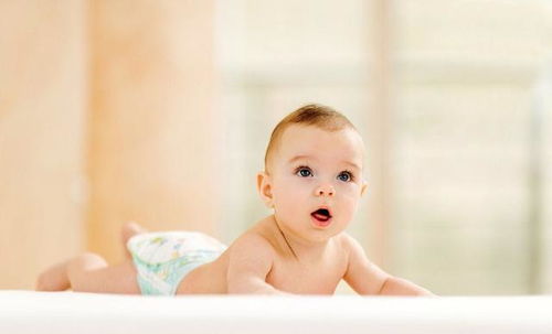 二、 常见的天地精华汉字大集合（但别太正经）