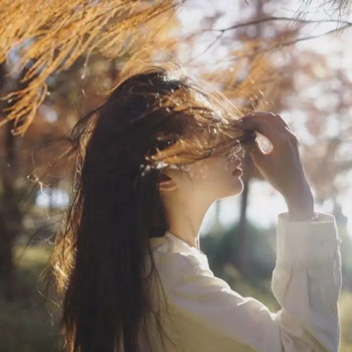 有哪些简单大气、气质独特的女人昵称或网名推荐？