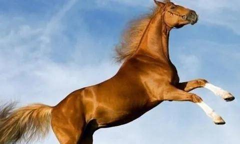 1990年属马人在2026年农历七月运势如何？