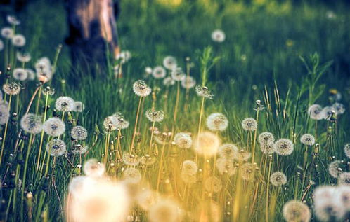 提升桃花运的奇葩方法