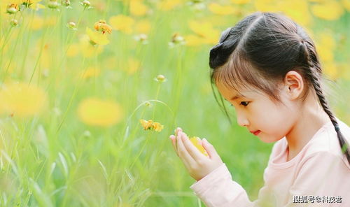 再说说“优雅”和“温柔”这两个词儿