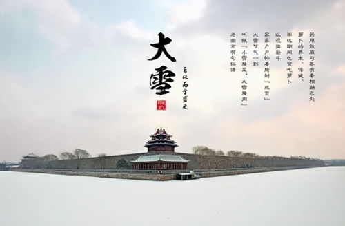 师长指点及汇报机制的重要性