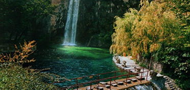 所谓的“自然风光”：野草丛生+垃圾遍地