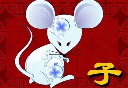 属鼠人2026年运势排名具体指的是什么？