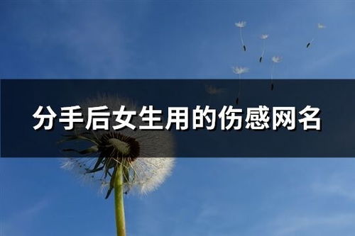 衍姓女孩名：别出心裁的“创意”