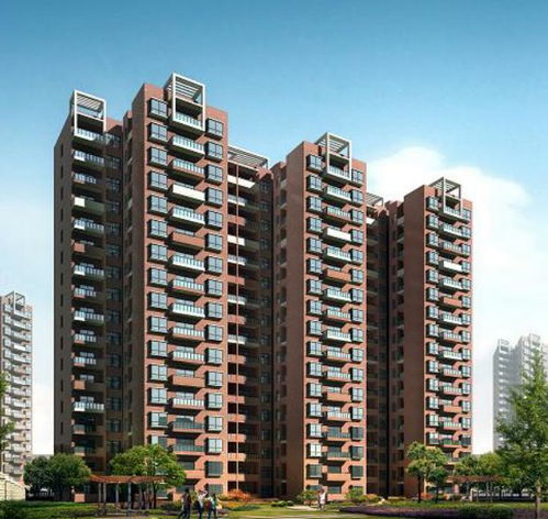 四、 现代楼房风水方位实践应用步骤