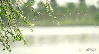 在这个喧嚣的世界里寻找一丝静谧：惯与路姓女孩取名的那些碎碎念