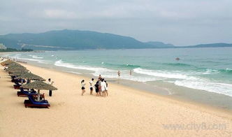 交通：折腾到怀疑人生的开始