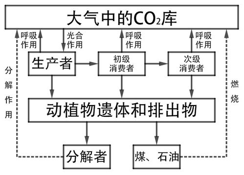 3．基因和染色体的关系（第三章）