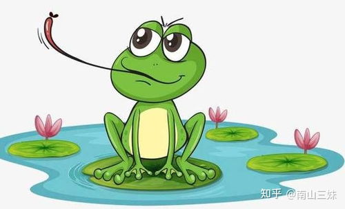 隐喻解析：青蛙看海背后的哲学寓意