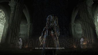 一、 事件背景与初始留意