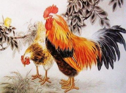 2023年属鸡女性运势中，招财吉祥物具体指什么？