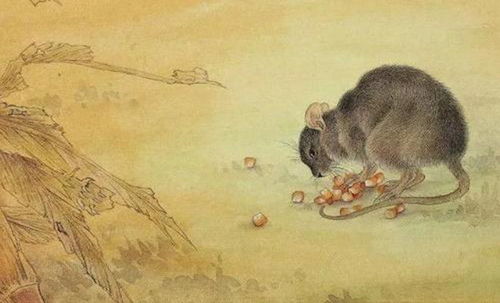 二、 针对上述灾不容简单的应对提议