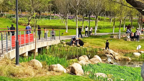 七、 循循善诱：耐心引导与纪律边界的守护