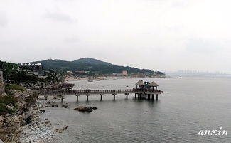 为什么我非要写这篇文章不可