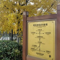 穷到掉渣的生存法则