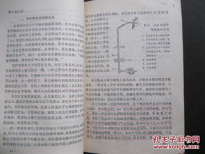 命理實用導向:產業選擇と地域適配原則探微 在古代社會生產力水平有限背景下八字命理所提供產業選擇與地域指導具有鮮明現實意義一一它通過將個人五星屬性與地理方位產業類型匹配幫助人們尋找適合自身發展路徑這種匹配並非宿命論桎梏反而體現古人對「天時地利人和」協調重視