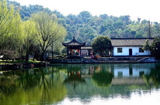 2.1 武汉东湖风景区（乱序版）