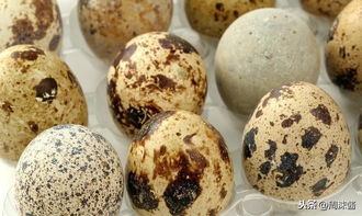 一、 麦仁的营养价值及其潜在益处