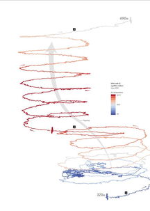 1. 生物电信号的心理映射