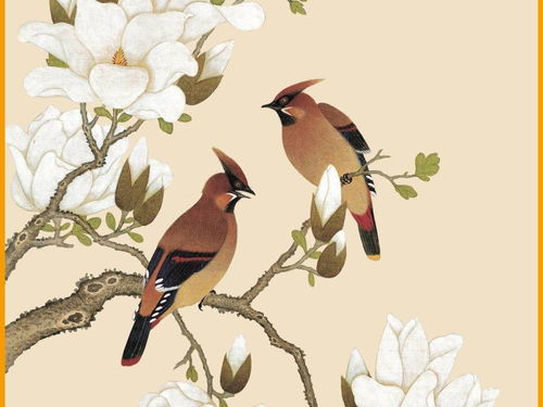 鸟儿飞入家中，此乃吉兆还是凶兆呢？