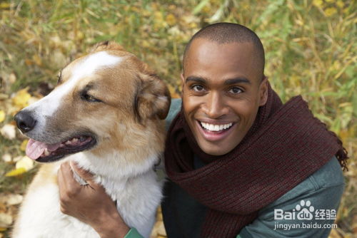 1994年属狗取名刘美庆，这样的名字是吉祥还是不吉利？