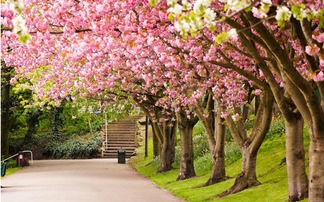 八字中的禄神指的是什么含义？