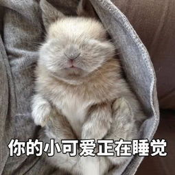 谐音梗：小心使用