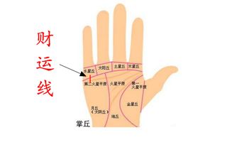 事业线的分析：职业发展趋势的洞察