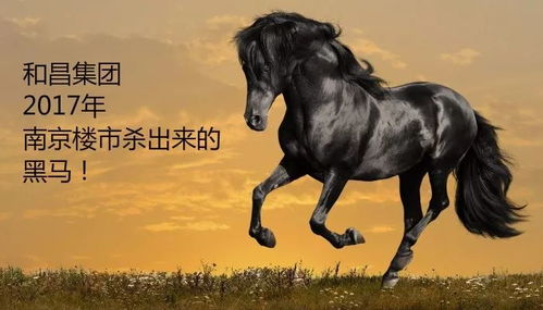 男金命属马的人在家中悬挂什么画像最适宜？