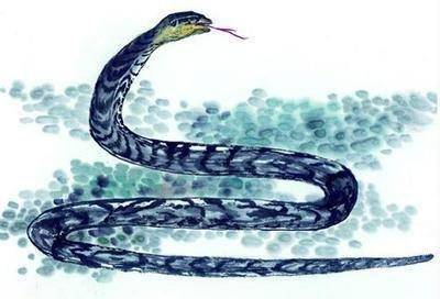 2026年属蛇的百年难遇吉日具体是哪一天？