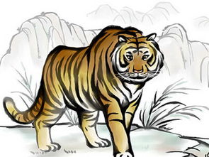 属虎人这个月财运如何表现？