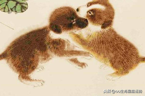 狗男鸡女婚配后运势如何？鼠和狗相配婚姻前景怎样？