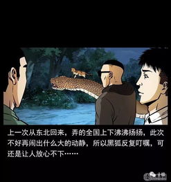 狼群救难与私定终身的因果溯源