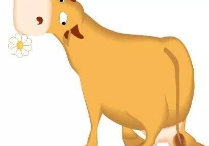 十二生肖牛与哪个生肖最匹配，构成最佳婚姻配对？