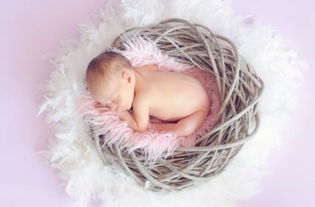 3. 财运与官禄的非对称性分布